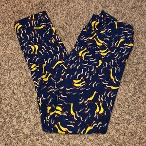 Lularoe leggings